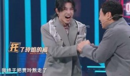 王少伟节目爆料视频播放,揭秘娱乐圈不为人知的幕后故事
