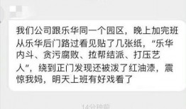娱乐文字爆料怎么写的,独家爆料背后的故事与真相