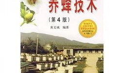 养蜂技术爆料视频,视频爆料养蜂技术全解析