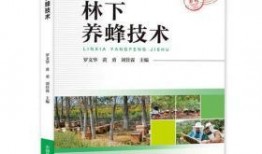 养蜂技术爆料视频,视频爆料养蜂技术全解析