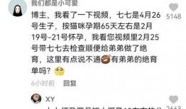 娱乐吃瓜君赚钱,揭秘网络红人如何轻松月入过万