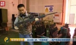 第8款升级枪爆料视频下载,全新爆料视频深度解析