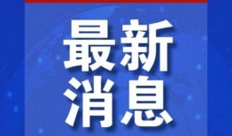 新闻爆料专用头像,揭秘背后故事与神秘面纱