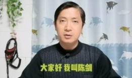 导演陈剑爆料了吗视频,揭秘幕后故事
