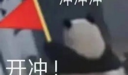 冲哥每日一冲最新爆料,最新爆料背后的惊人真相