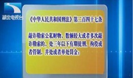 湖北新闻电话爆料,聚焦民生热点，揭示社会现象