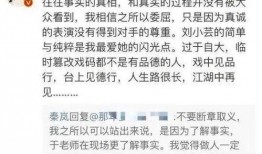 娱乐文字爆料怎么写的,独家爆料背后的故事与真相
