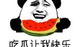娱乐吃瓜君说超话,揭秘娱乐圈幕后故事