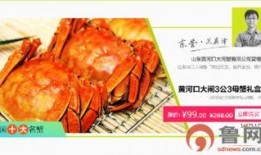 黄河口大闸蟹爆料视频,揭秘美味背后的生态传奇