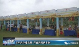 柴桑区新闻爆料电话,揭秘身边事，倾听民声心声