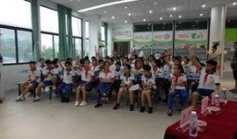 厦门小学校长爆料视频,揭秘校园教育现状与挑战