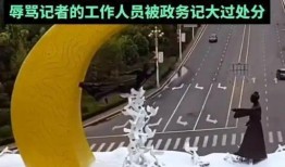 平舆县无人机爆料事件最新,揭秘背后真相与影响