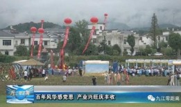 柴桑区新闻爆料电话,揭秘身边事，倾听民声心声