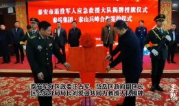 山东泰安爆料新闻事件,揭秘背后真相与影响