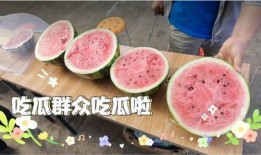 吃瓜群众天天有大瓜天天免费吃,每日免费大瓜，尽享吃瓜盛宴