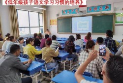 厦门小学校长爆料视频,揭秘校园教育现状与挑战